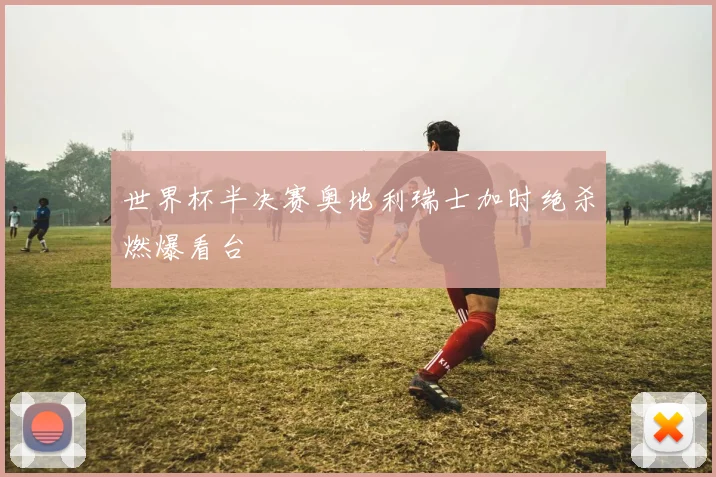 世界杯半决赛奥地利瑞士加时绝杀燃爆看台