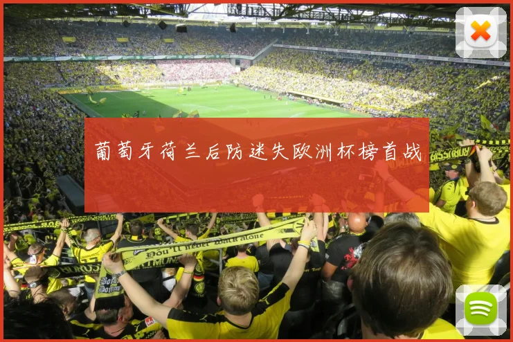 葡萄牙荷兰后防迷失欧洲杯榜首战