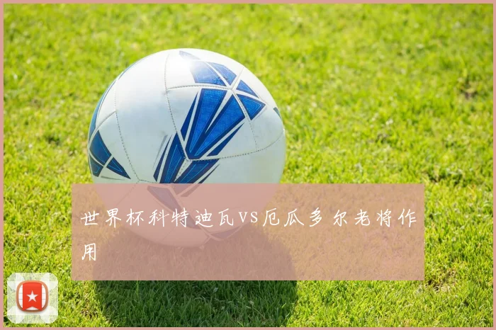 世界杯科特迪瓦vs厄瓜多尔老将作用