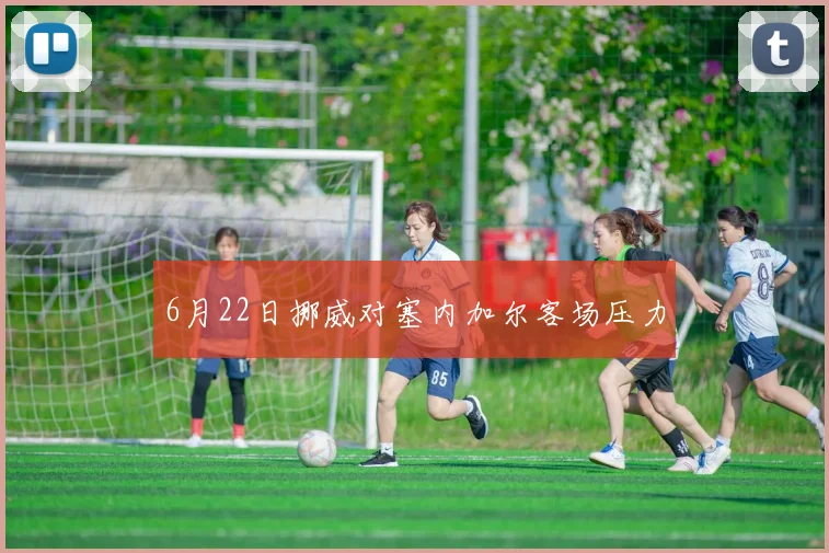 6月22日挪威对塞内加尔客场压力