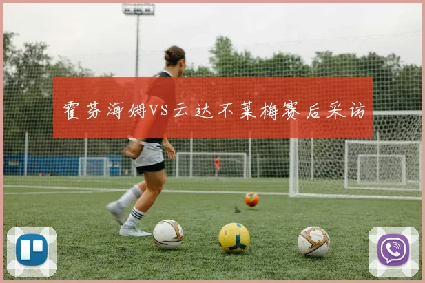 霍芬海姆vs云达不莱梅赛后采访